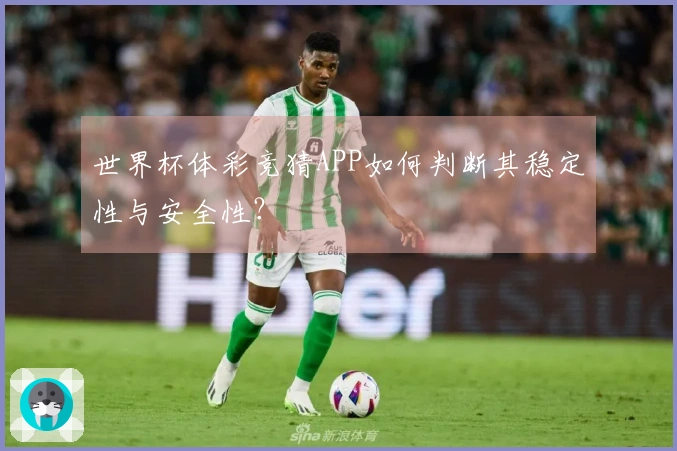 世界杯体彩竞猜APP如何判断其稳定性与安全性?